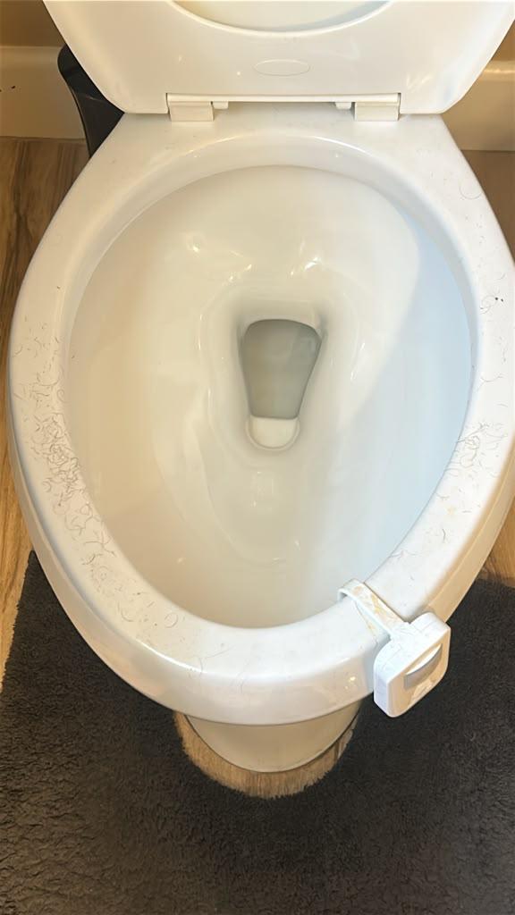 Toilet: rim, bowl and seat fully sanitized before cleaning