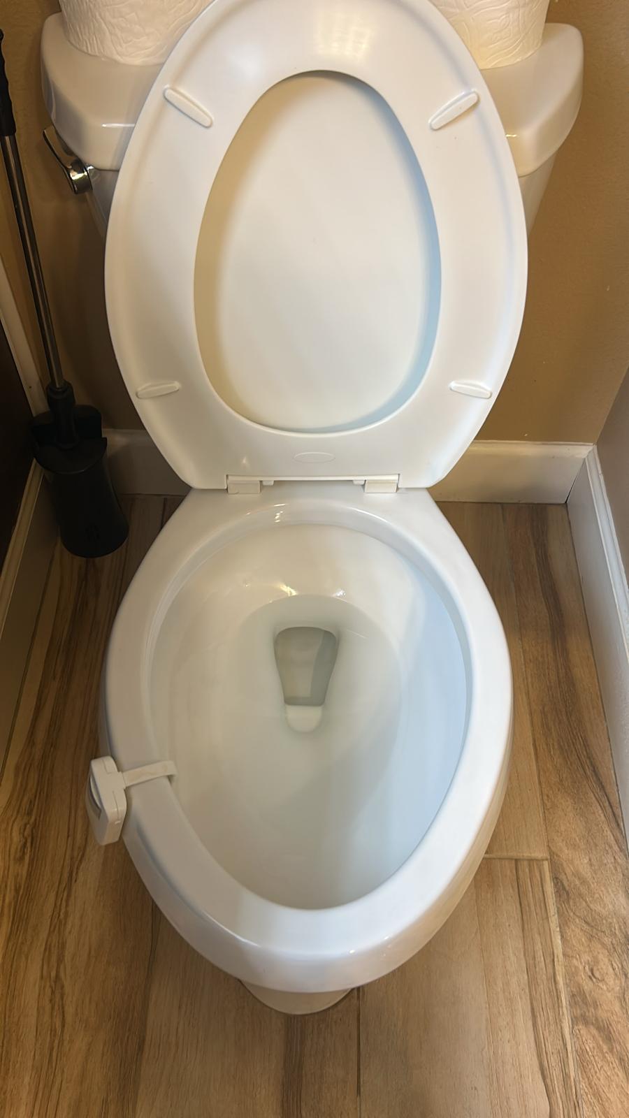 Toilet: rim, bowl and seat fully sanitized after Ocean Shine cleaning